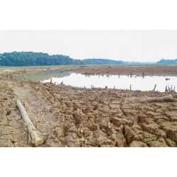 Com reservatórios cheios, Região Metropolitana de Curitiba completa um ano do fim do rodízio